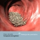 “Infografia sobre neteja de paràsits intestinals i mesures d’higiene”